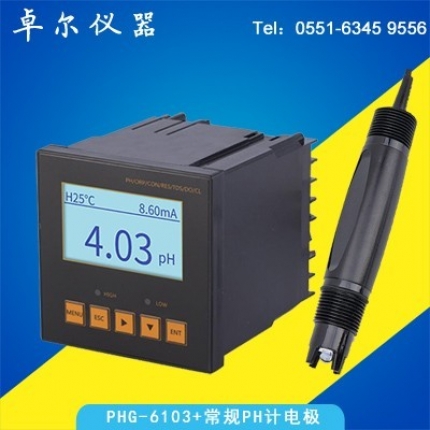 在線(xiàn)PH計(jì)PHG6103